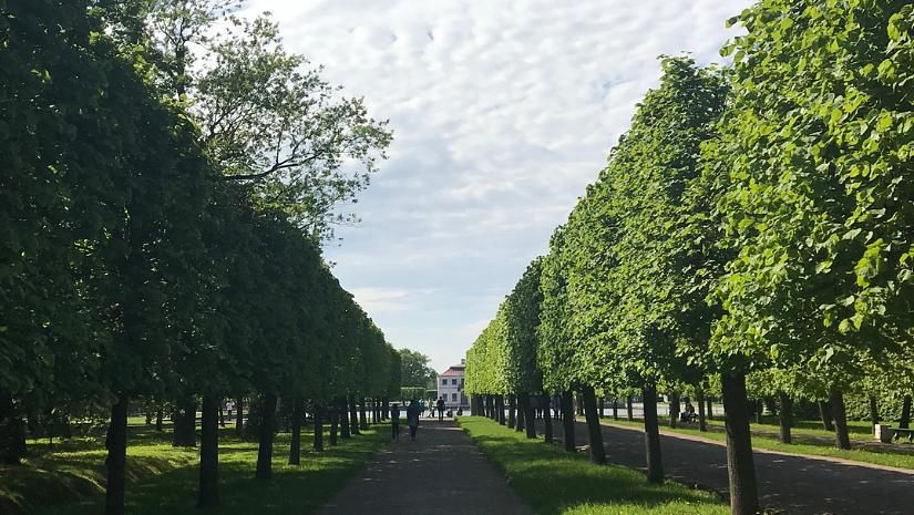 Экскурсия загородная в Петергоф. Большой дворец. Нижний парк. Фонтаны.