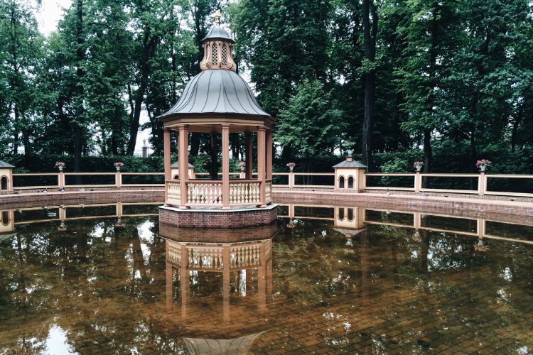 Экскурсия «Сады и парки Петербурга». Летний сад. Русский музей