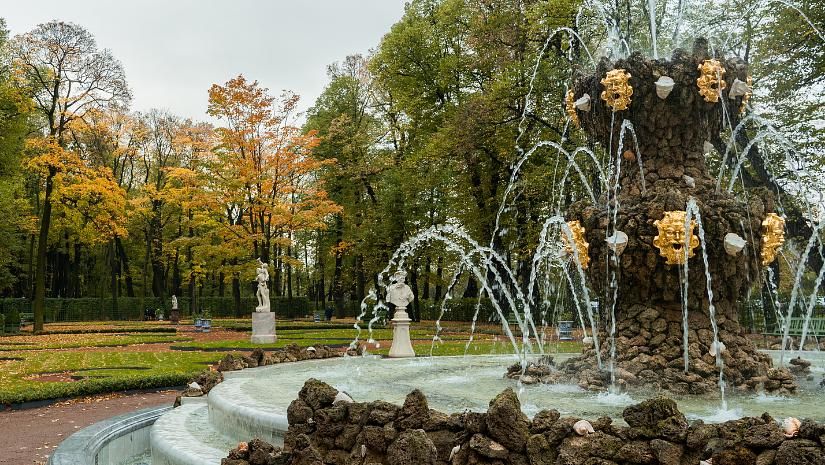 Экскурсия «Сады и парки Петербурга». Летний сад. Эрмитаж